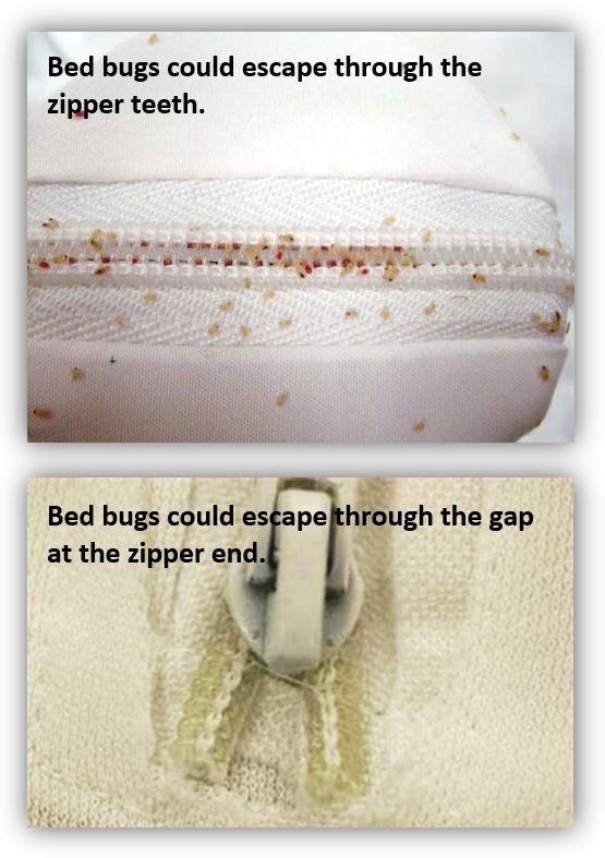 bed bugs on large tooth zipper and zipper end not closing