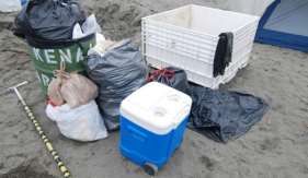 Due to the high beach use in July, trash is a big problem. Put trash in designated cans and dumpsters, or pack it out