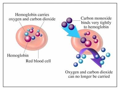 carbon monoxide schematic