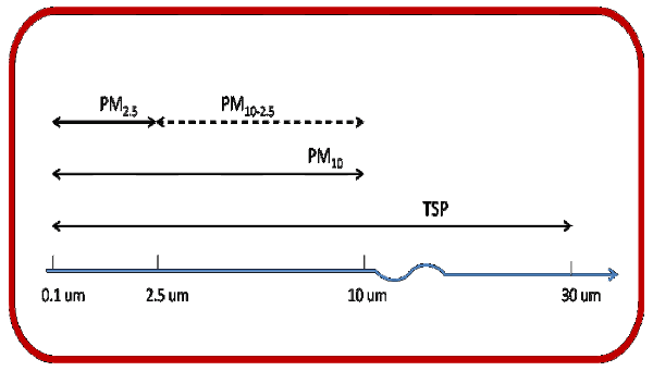 Particulate Matter Size Chart