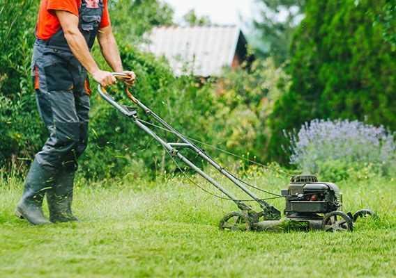 Pesticide Control Program