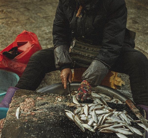 fisherman cleaning fish