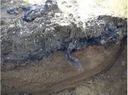 Tar layer found at Tanana Community Hall in Tanana, Alaska