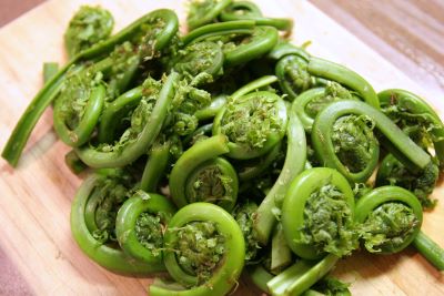 Cooked fiddleheads