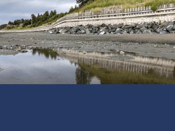 homer-seawall-award