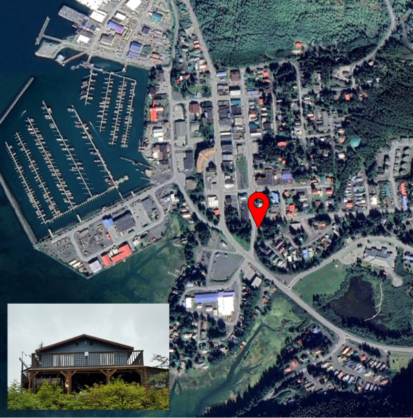 Satellite photo of sensor location with overlaid image closeup of the sensor.