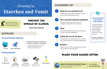 Cleaning Up Diarrhea and Vomit summary flyer preview