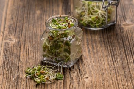 Raw seed sprouts in jar