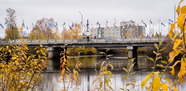 picture of car bridge over a river with fall foliage
